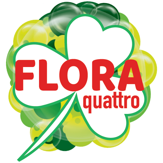 Flora Quattro Turkey – Premium Powder Detergent for Sparkling Clean Laundry